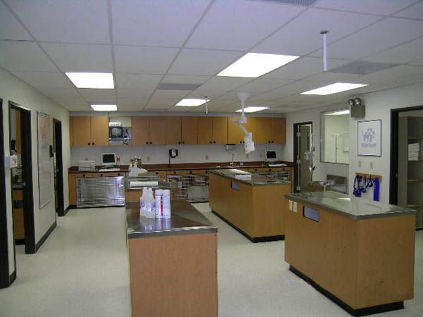 Veterinary Lab